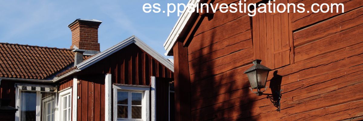 es.ppsinvestigations.com